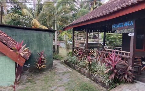 Bed and Breakfast C Point Krui Exterior foto